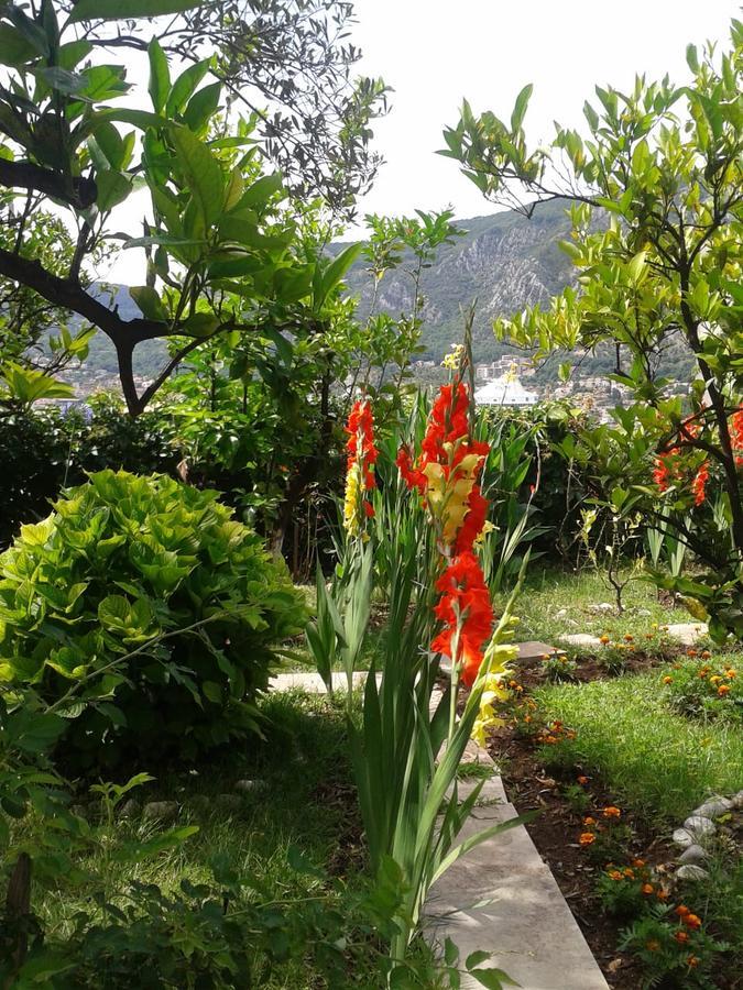 Kotor Kelly Apartments Bagian luar foto
